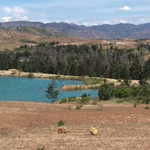 Pozos azules